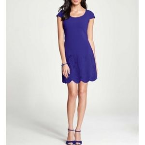NWOT Ann Taylor dress